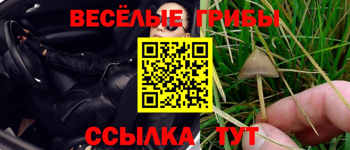 Псилоцибиновые грибы Cubensis Калуга